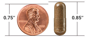Size comparison between pill and US penny
